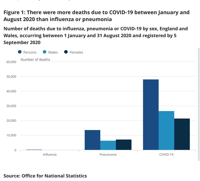 Chart, bar chart

Description automatically generated