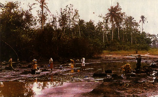 Scavengers pan for oil at Adeje, Nigeria