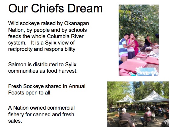 Our Chiefs Dream

Wild sockeye raised by Okanagan Nation, by people and by schools feeds the whole Columbia River system. It is a Syilx view of reciprocity and responsibility.

Salmon is distributed to Syilx communities as food harvest.

Fresh Sockeye shared in Annual Feasts open to all.

A Nation owned commercial fishery for canned and fresh sales.