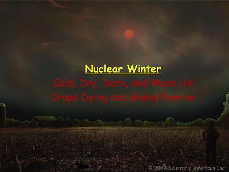 Nuclear Winter