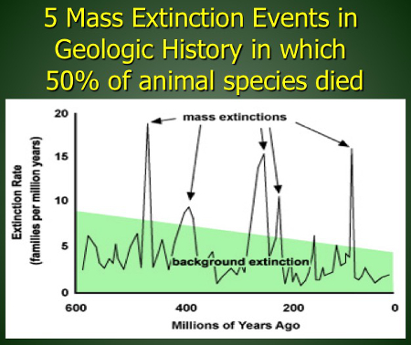 5 Mass Extinction Events in Geologic History in which 50% of animal species died