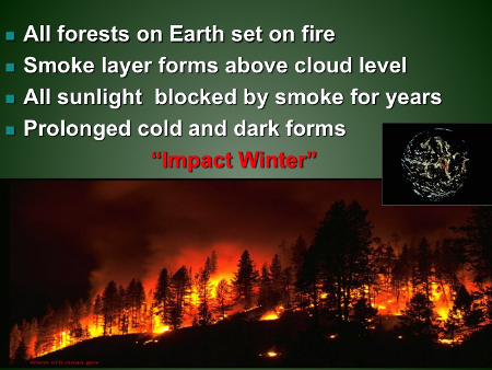 Impact Winter: All forests on Earth set on fire; Smoke layer forms above cloud level; All sunlight  blocked by smoke for years; Prolonged cold and dark forms