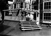 stairs2.gif