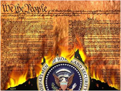 image: Burning Constitution