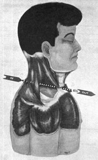 CE 385