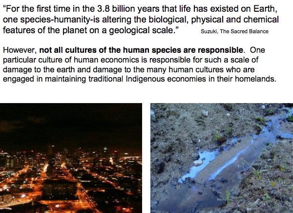 ``For the first time in the 3.8 billion years that life has existed on Earth, one species–humanity–is altering the biological, physical and chemical features of the planet on a geological scale.''   —Suzuki, The Sacred Balance

However, not all cultures of the human species are responsible. One particular culture of human economics is responsible for such a scale of damage to the earth and damage to the many human cultures who are engaged in maintaining traditional Indigenous economies in their homelands.