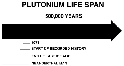 Plutonium Life Span