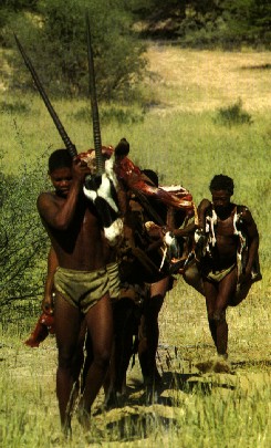 bushman hunters