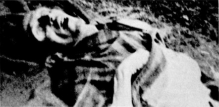 HeritageOfStone/Dachau Victim, 1945, Photo by Jim Garrison